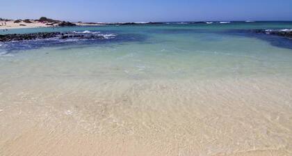 Bravo´s Aparment Cotillo 1