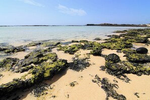 Apartment, 2 Bedrooms, Terrace | Beach