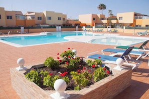Outdoor pool - Los Delfines Bravo´s Apartment,50 Meter Far Beach (La Oliva)