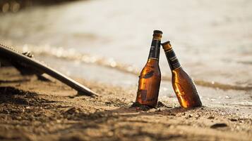 Departamento, 1 habitación, balcón, vista al lago | Playa