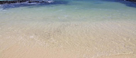 LĂ€genhet - 1 sovrum - uteplats - utsikt mot poolen | Strand