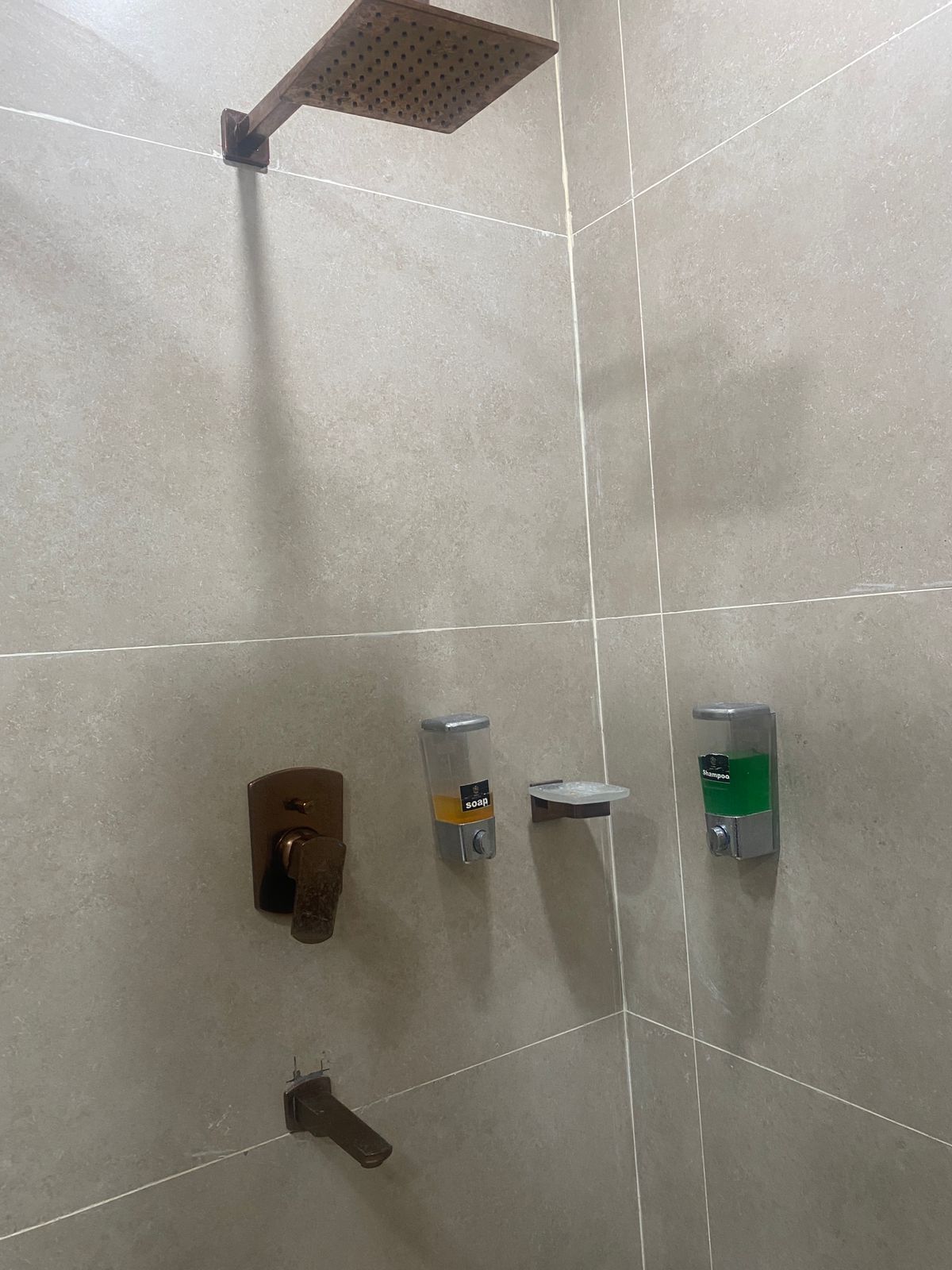 A shower area with a rain showerhead, a soap dispenser, a shampoo dispenser, and a towel rack.