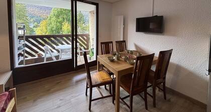 Renovated apartment in Autrans, near slopes, 4 people