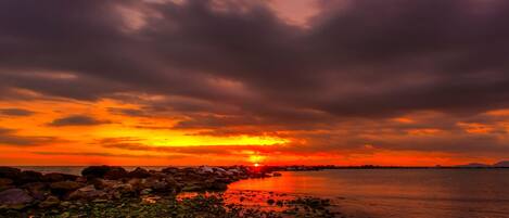 公寓 | 1 間睡房