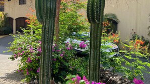 A courtyard with cacti and bougainvillea flowers, a building with arches, and a parked car. - Majestic Oceanview Condo with King Beds (Playas Del Coco)