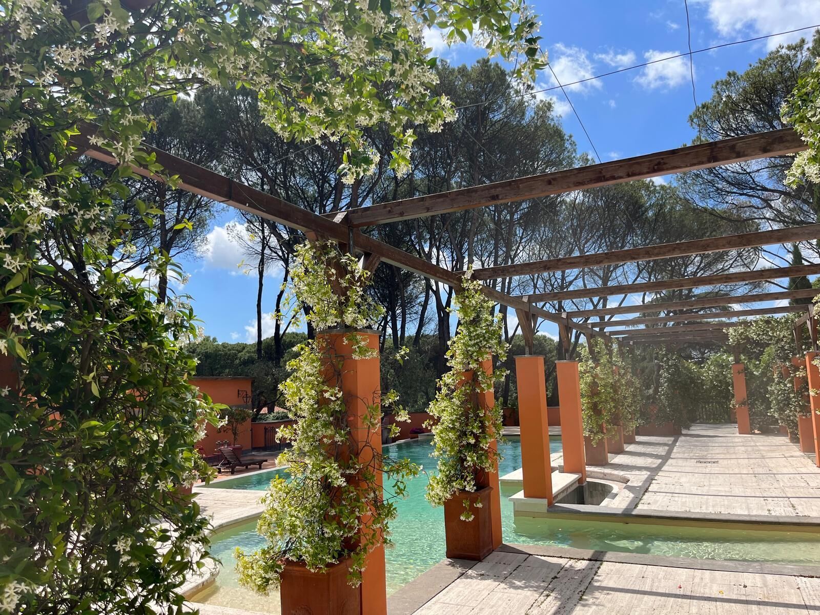 A wooden pergola with climbing plants, a pool area, and a clear blue sky.