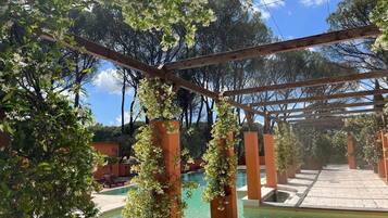 A wooden pergola with climbing plants, a pool area, and a clear blue sky.