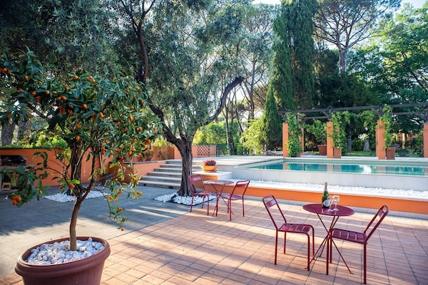 Deluxe Apartment | Terrace/patio