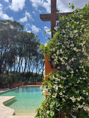 Outdoor pool - Hero's Garden Relais (Rome)