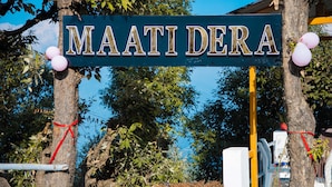 Une pancarte portant l’inscription « MAATI DERA » est fixée à un arbre, entouré de verdure et de ballons.