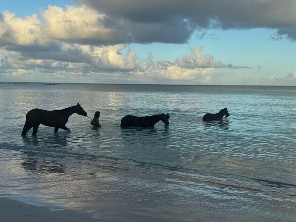 Plage