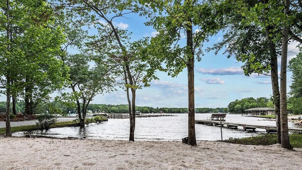 A sandy beach with trees, a dock, and a small building.