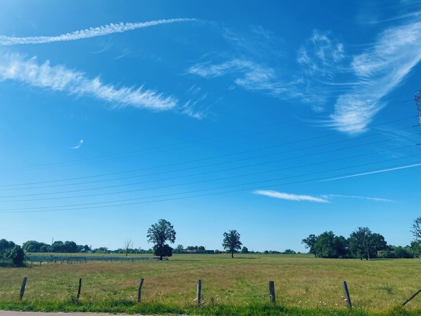 A clear blue sky with power lines and a grassy field with trees. - Inova Guesthouse (Hasselt)