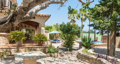 Holiday House in Inca With Swimming Pool