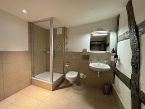 Un baño moderno con ducha envuelta en vidrio, inodoro blanco y lavamanos con espejo superior.