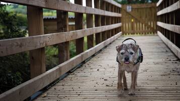 Enceinte de lâhĂ©bergement