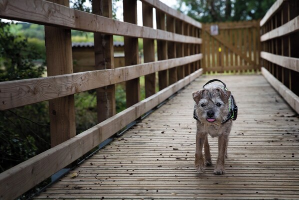 Property grounds - Rutland Rural Retreats - Woodpecker cabin, Adult only, super dog friendly (Belton In Rutland)