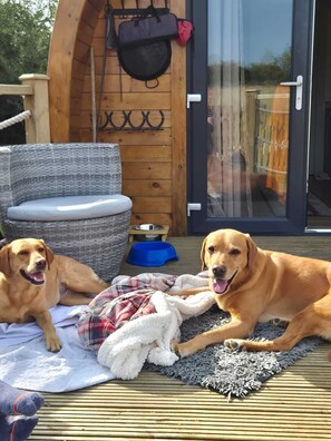 صورة غير مصنفة، 4 من 23، زرّ