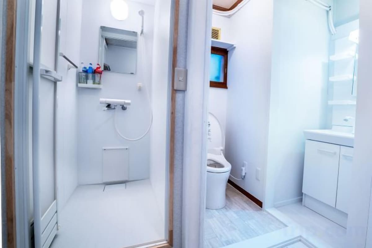 Shower, hair dryer, bidet, towels