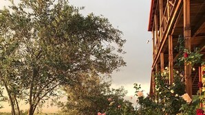 A garden with a variety of plants and flowers, a rustic building with wooden beams, and a clear sky. - Elizbar Talakvadze Winery (Gurjaani)