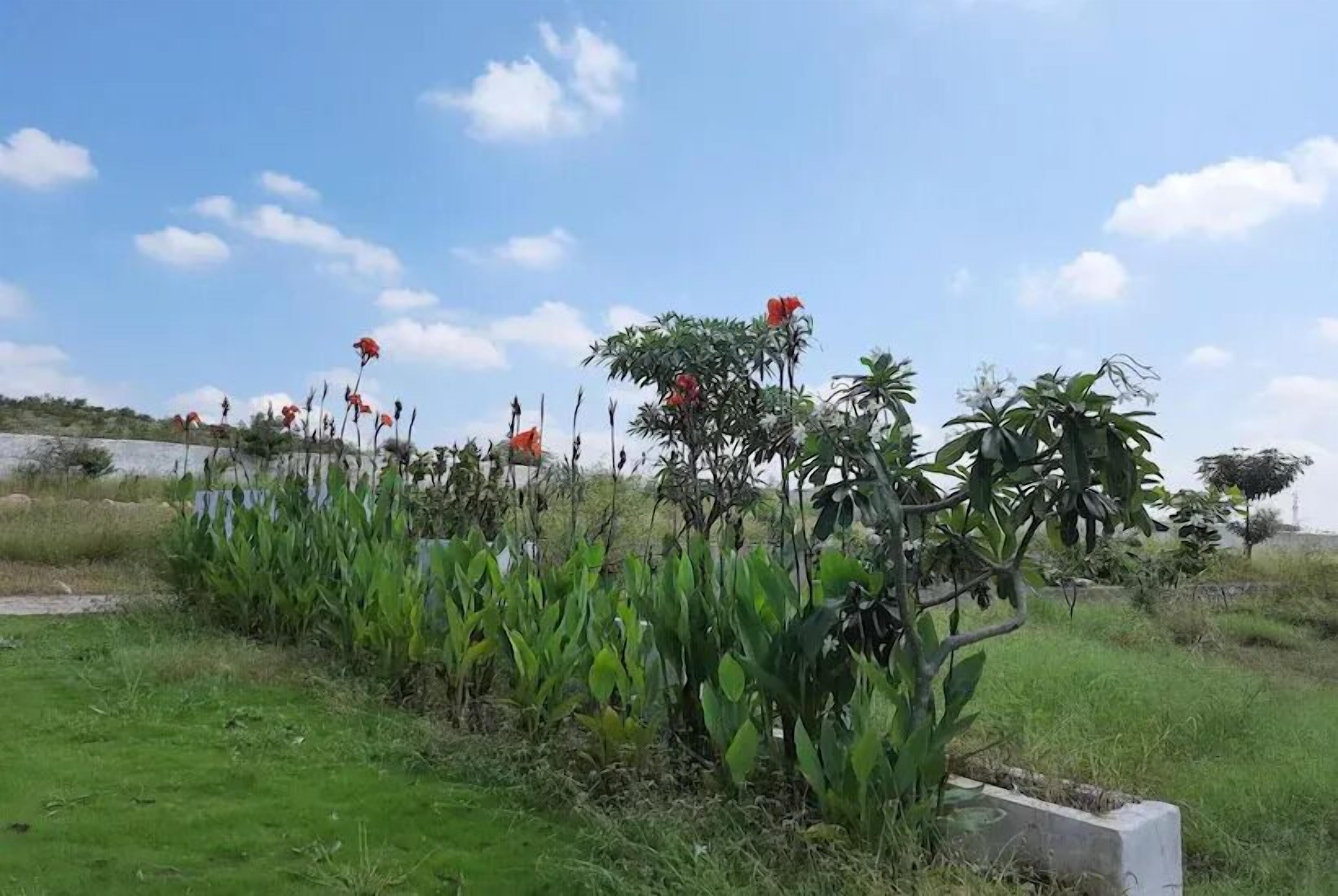 Pemandangan taman
