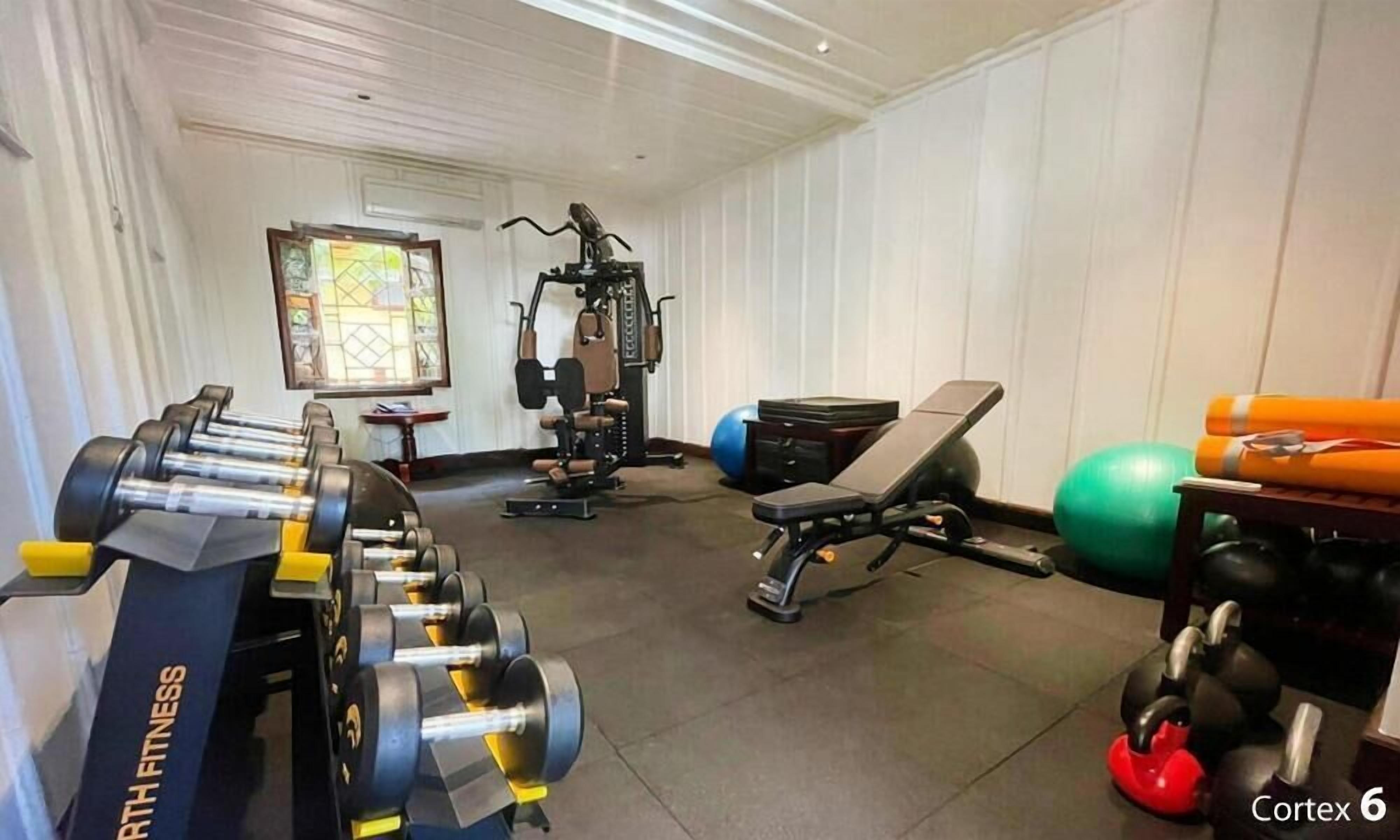Un gimnasio con equipos de ejercicio variados, incluyendo mancuernas, una banca y una máquina de remo.