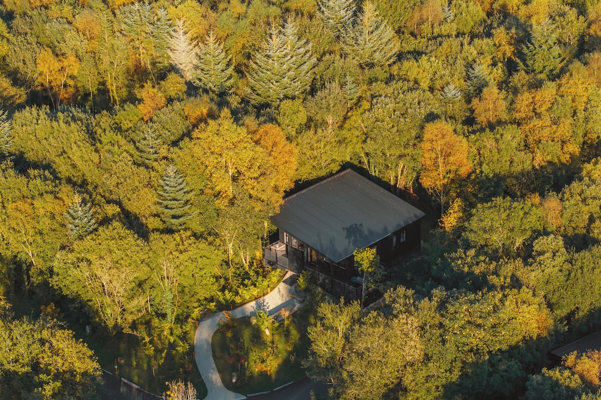 An aerial view of a cabin surrounded by dense forest, with a winding path leading to it.