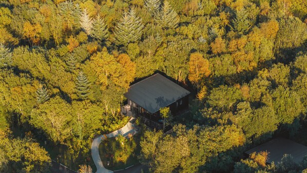 An aerial view of a cabin surrounded by dense forest, with a winding path leading to it. - Drumhierny Woodland Hideaway (Carrick-on-Shannon)