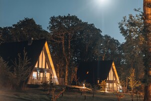 Habitat Lodge | 3 bedrooms, individually decorated, individually furnished, desk