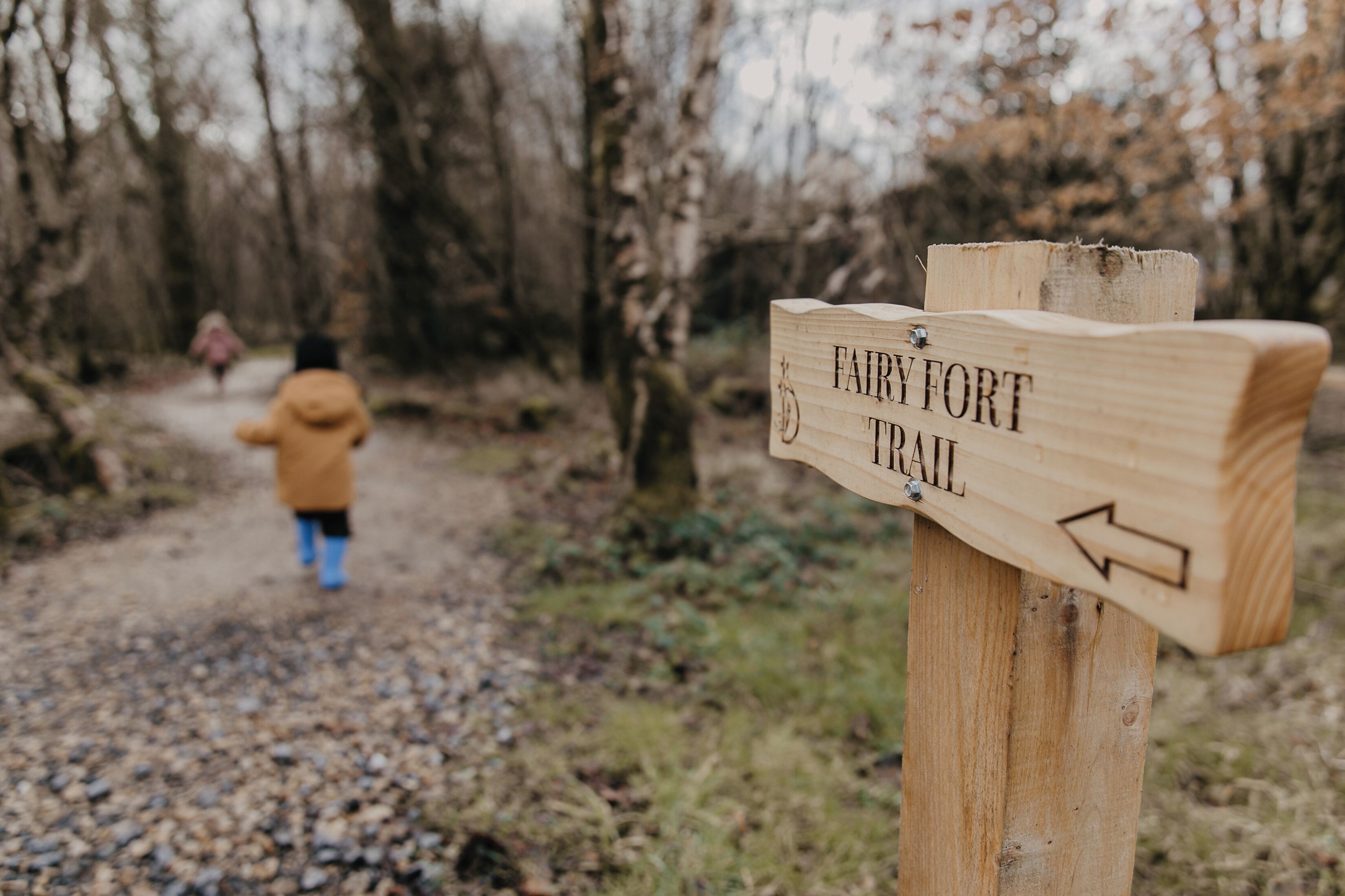 A wooden signpost with the text "FAIRY FORT TRAIL" and an arrow pointing left.
