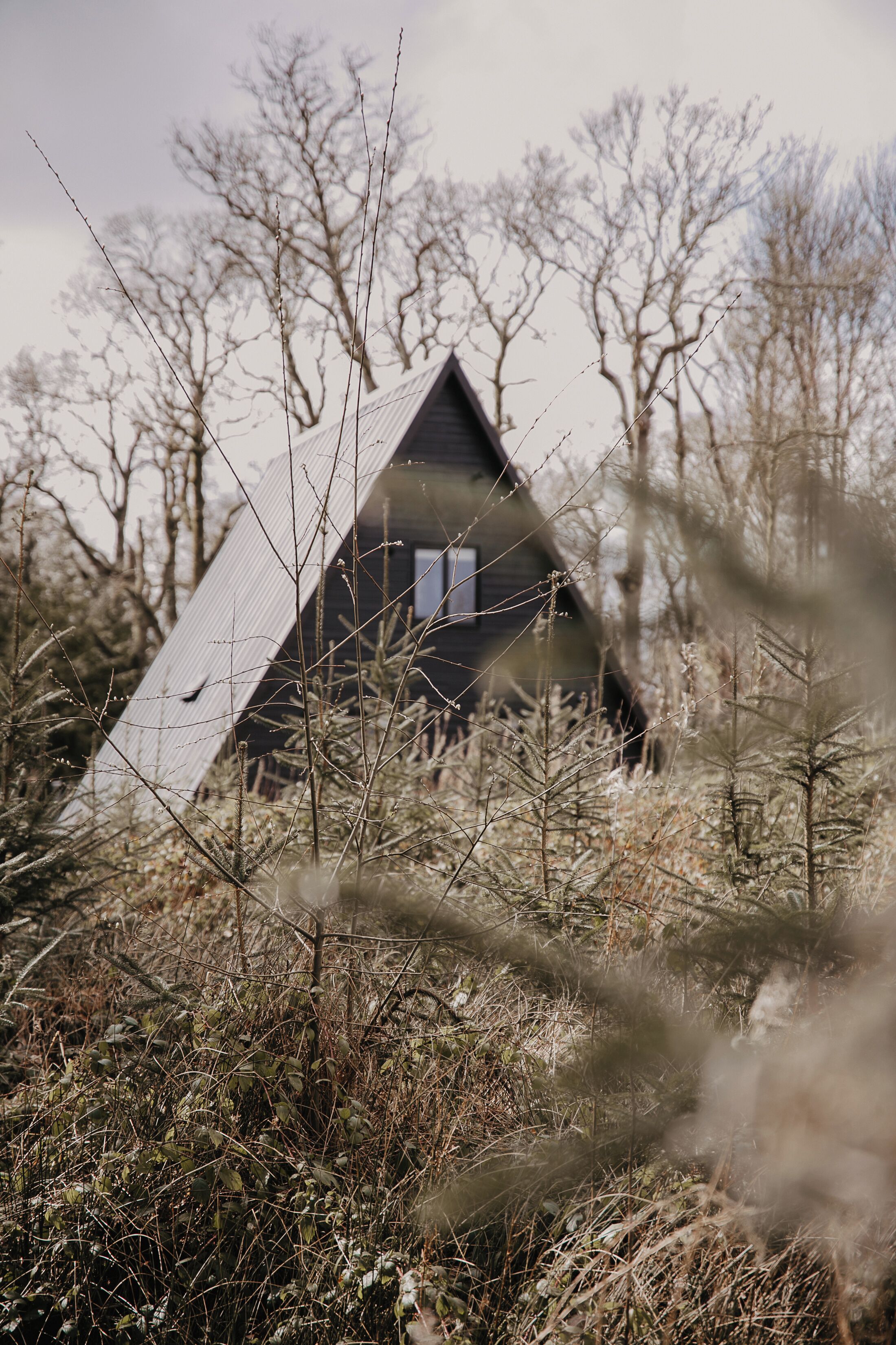 Vista des de l'allotjament