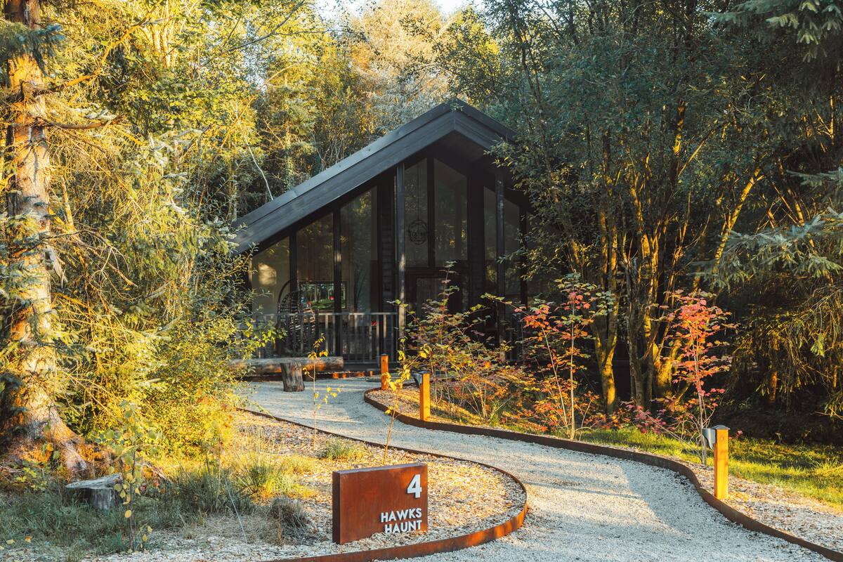 A cabin with a sloped roof surrounded by dense forest. A gravel path leads to the cabin, and a sign indicates the cabin is named "Hawks Haunt."