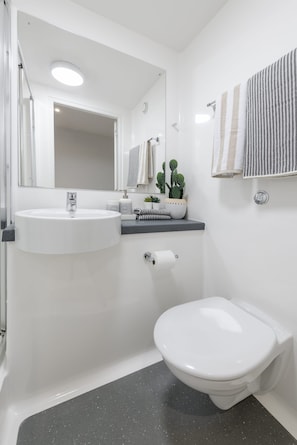 A modern bathroom with a white sink, a toilet, and a mirror. There are decorative items on the countertop, including a cactus plant and a small potted plant. - For Students Only The Bridge in Newcastle (Newcastle-upon-Tyne)