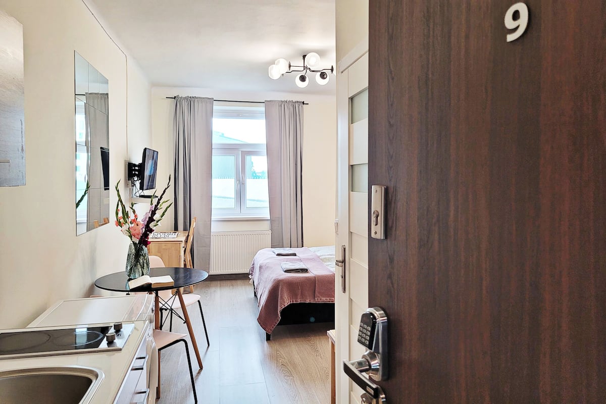 Suite monolocale Standard, 1 letto matrimoniale, vista città | Una cassaforte in camera, una scrivania, postazione laptop