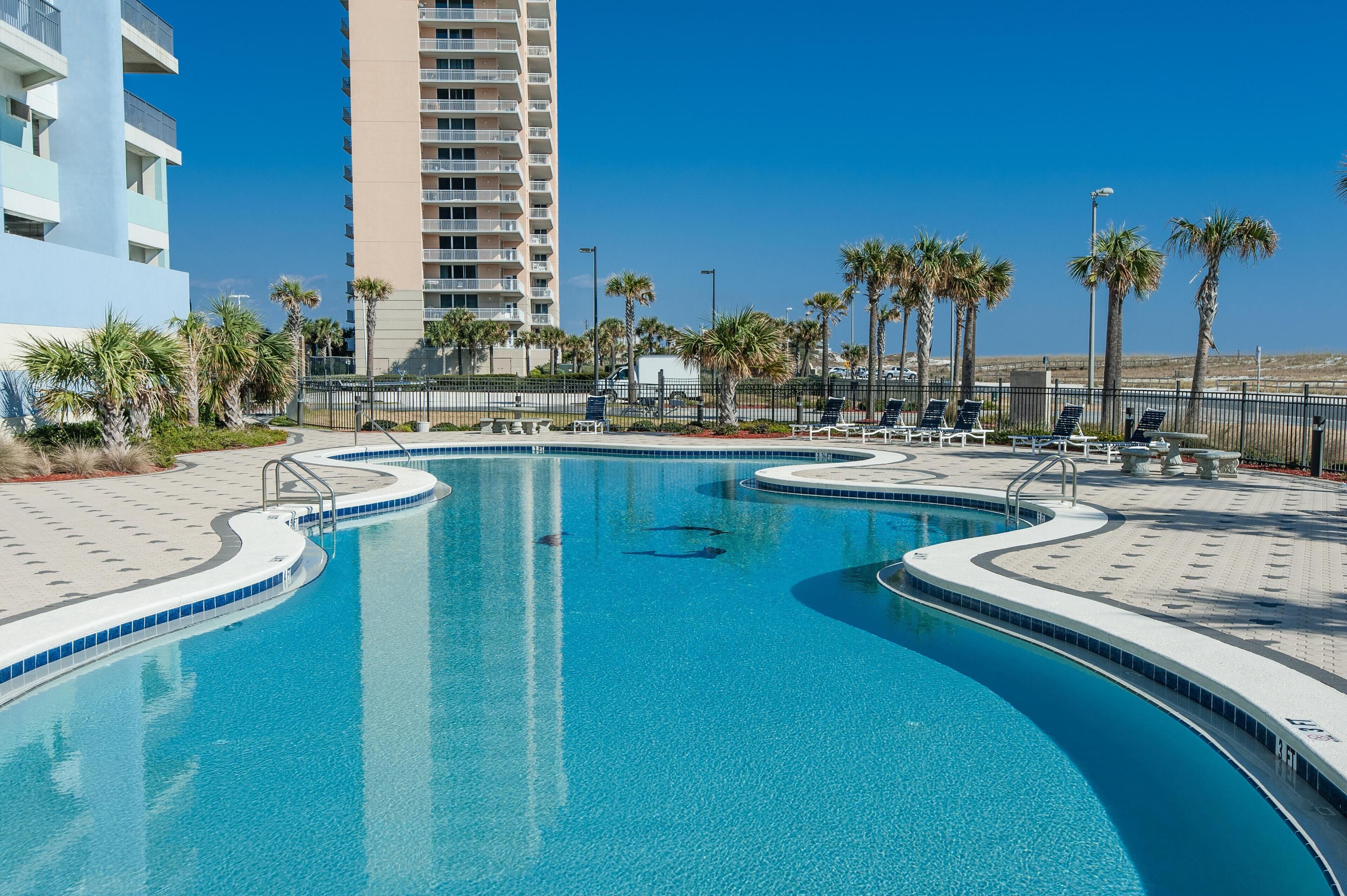 A swimming pool with a curved design, surrounded by lounge chairs and palm trees, with a tall building in the background.