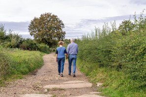 Unclassified image, 2 of 29, button