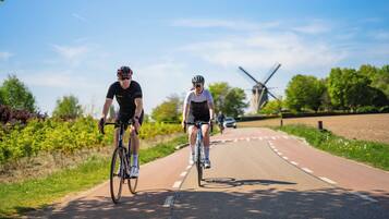 Zwei Radfahrer auf einem asphaltierten Weg, im Hintergrund eine Windmühle.