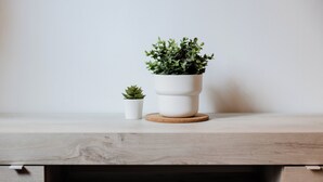 A wooden shelf with two white planters, one larger and one smaller, containing green plants. - Montagnola Mini House (Rome)