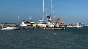 Un puerto deportivo con varias embarcaciones amarradas, incluyendo veleros y lanchas.