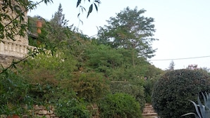 A gravel pathway winding through a garden with various plants and a stone wall.