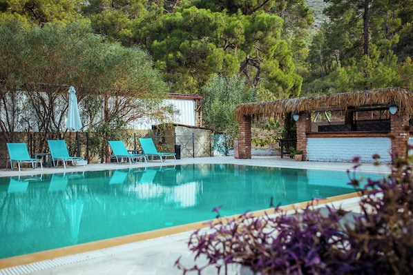 A swimming pool with lounge chairs, a brick structure with a thatched roof, and surrounding greenery.