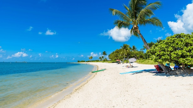 A beach with clear blue water, white sand, and palm trees. - Blue Pearl Waterfront Oasis w Pool 70 Dock (Marathon)