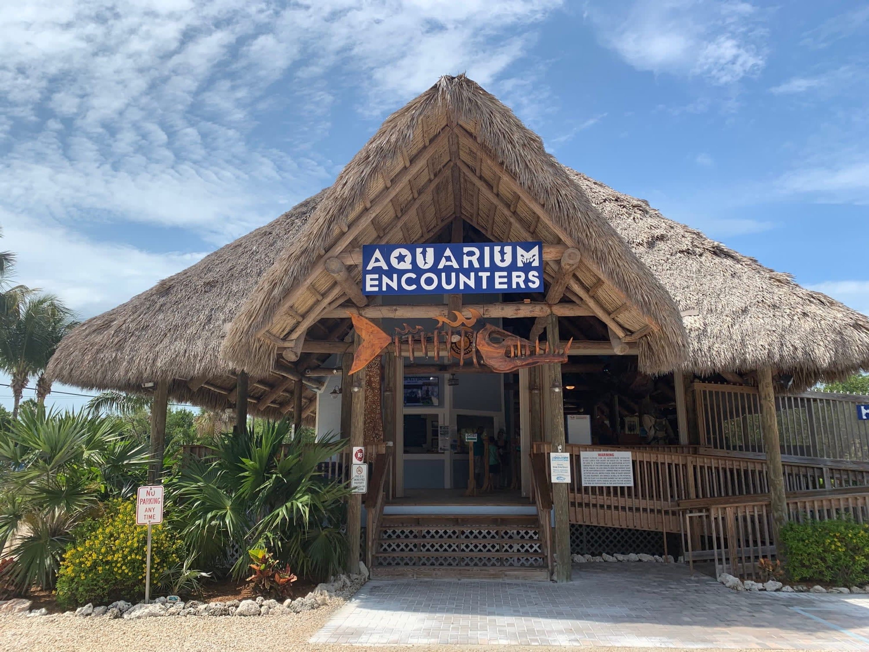 Edifício 'Aquarium Encounters' com telhado de palha, entrada de madeira e placa indicando proibição de estacionamento a qualquer momento.