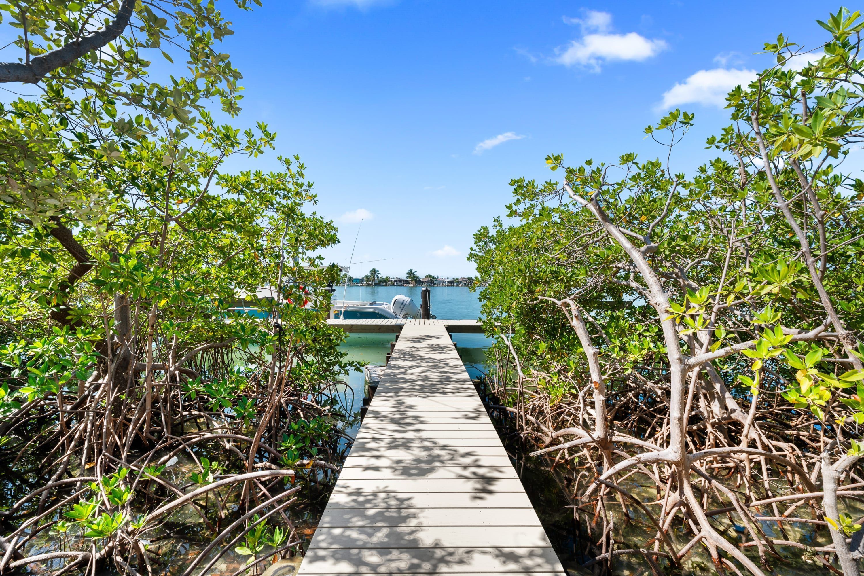 Un sentier en bois mène à une jetée bordée de mangroves.