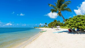 A beach with clear blue water, white sand, and palm trees. - Luxury Waterfront Oasis w Heated Pool and 50 Dock (Marathon)
