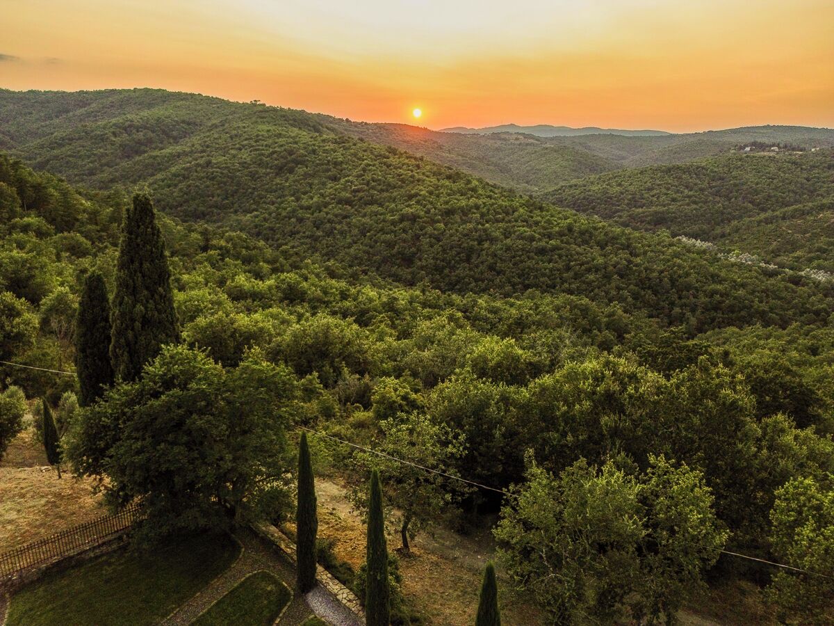 A lush landscape with a sunset.