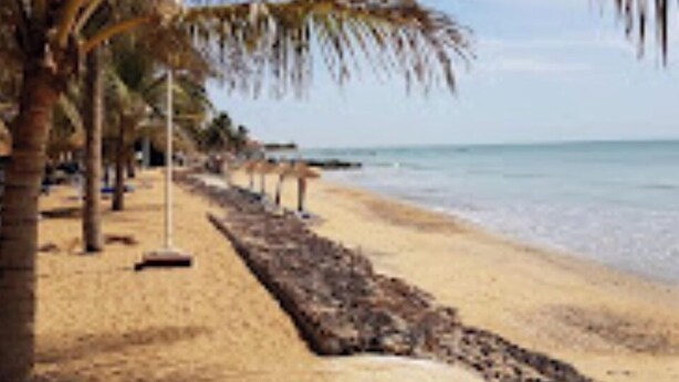 A beach with palm trees and a sandy path leading to the sea.