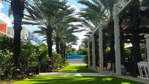 A pathway lined with palm trees leading to a building with a covered entrance. - The Grove (Seven Mile Beach)