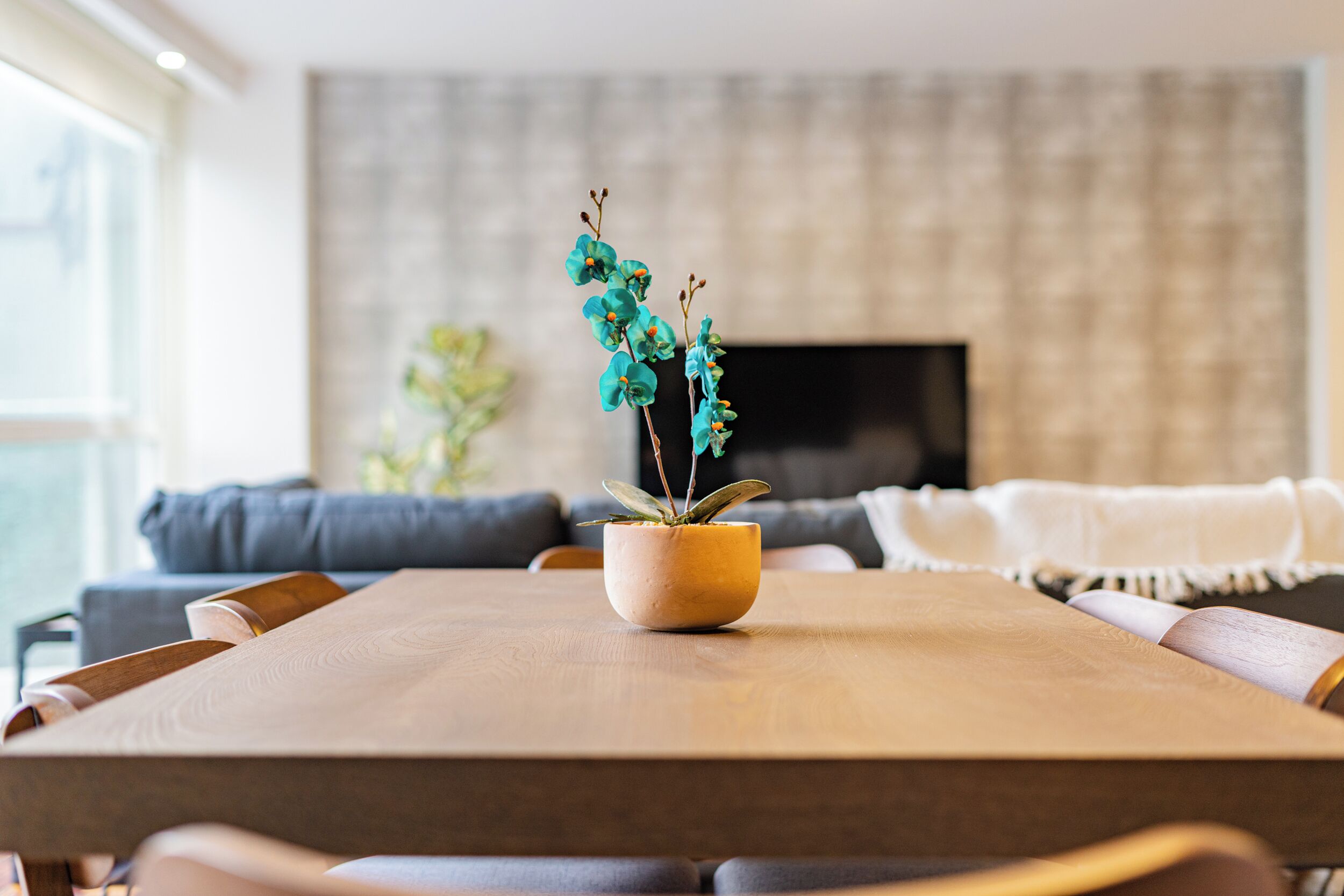 Departamento, 2 habitaciones | Comedor