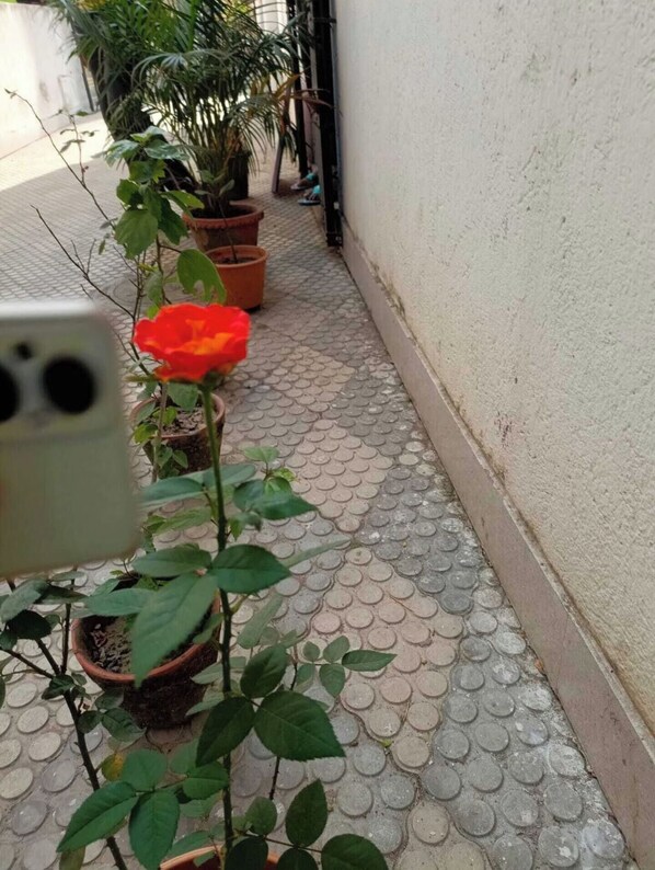 Overnatningsstedets område